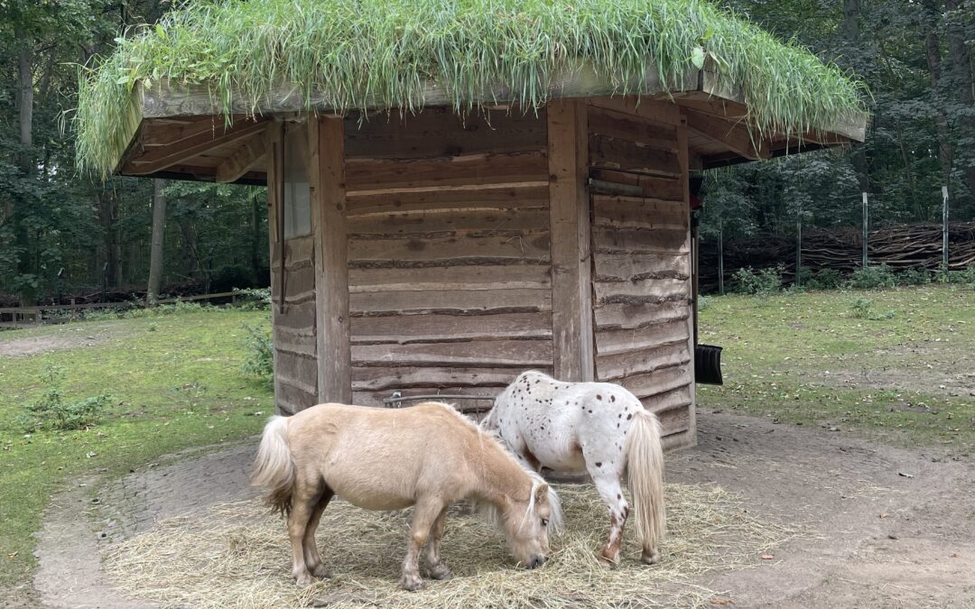 Der Tierpark in Wolgast