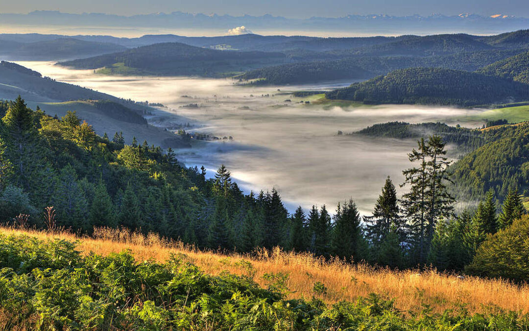 Der Schwarzwald – Ein Märchenland der Natur und Tradition