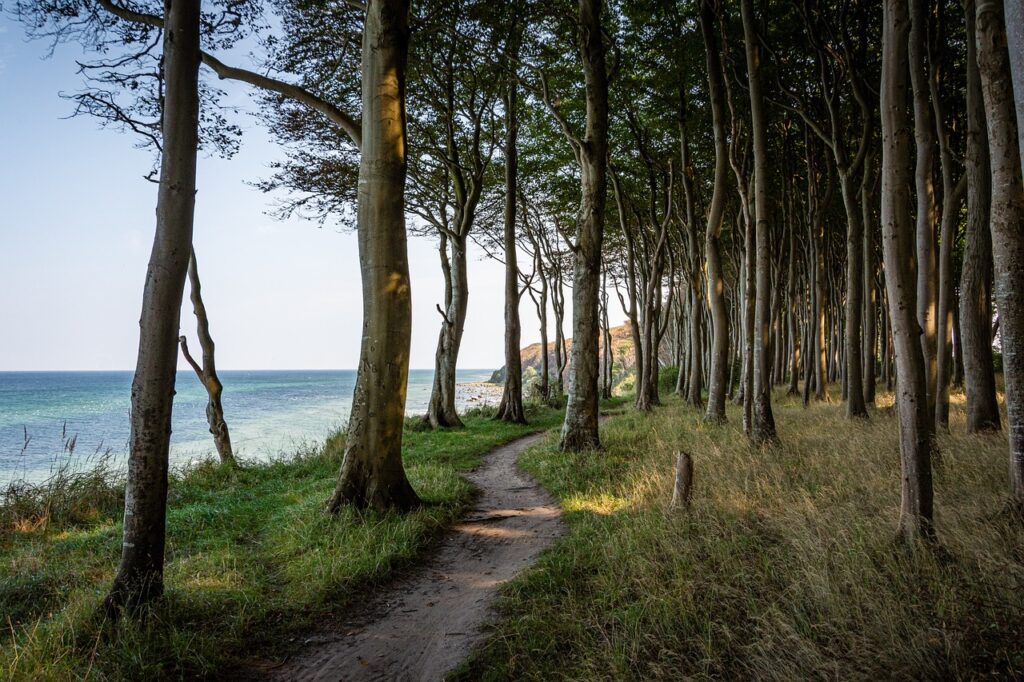 Insel Rügen