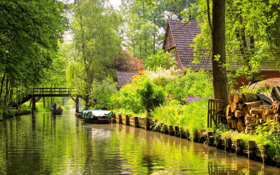 Der Spreewald – Ein Naturparadies voller Geschichte und Abenteuer